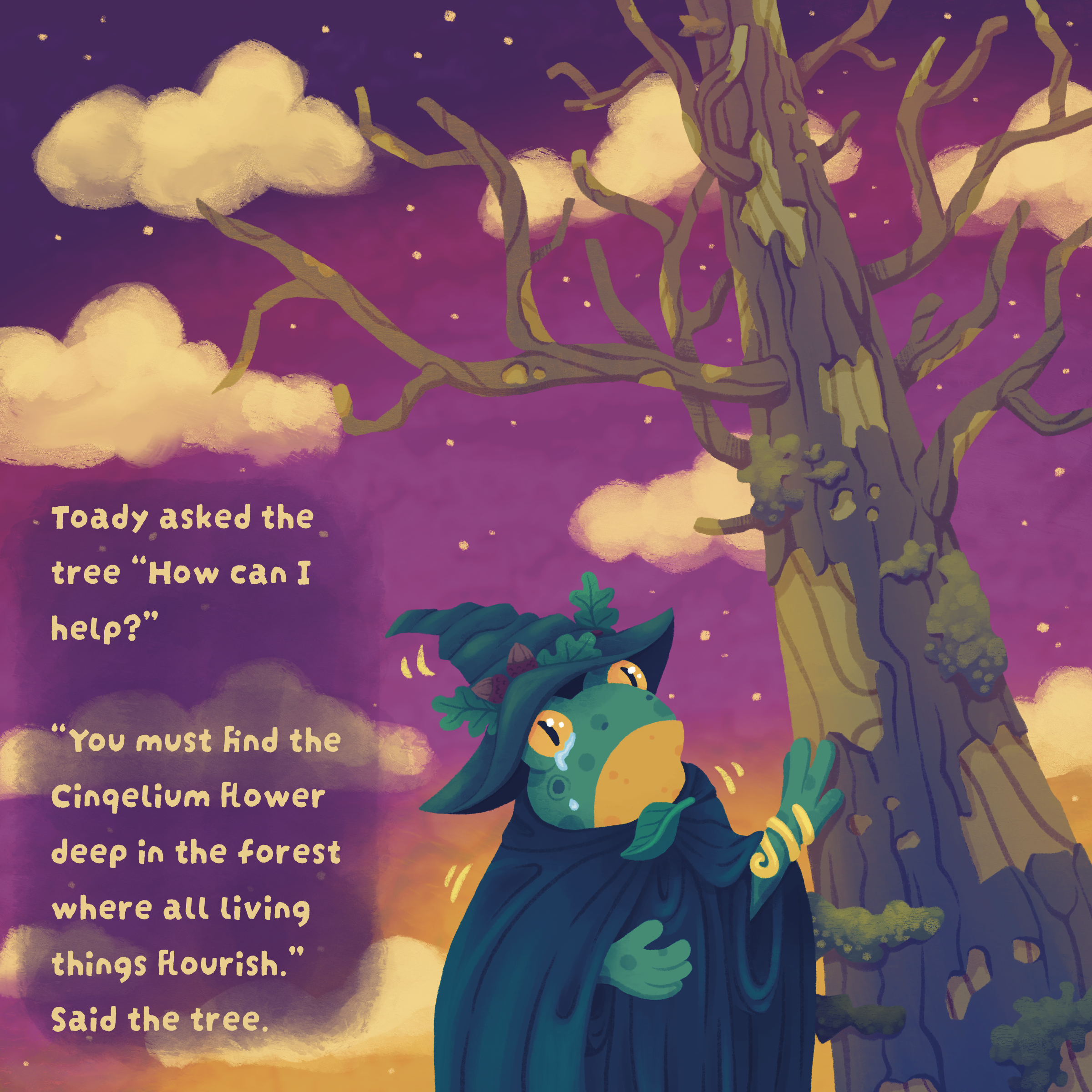 Toady the Wizard Frog Page 1.png