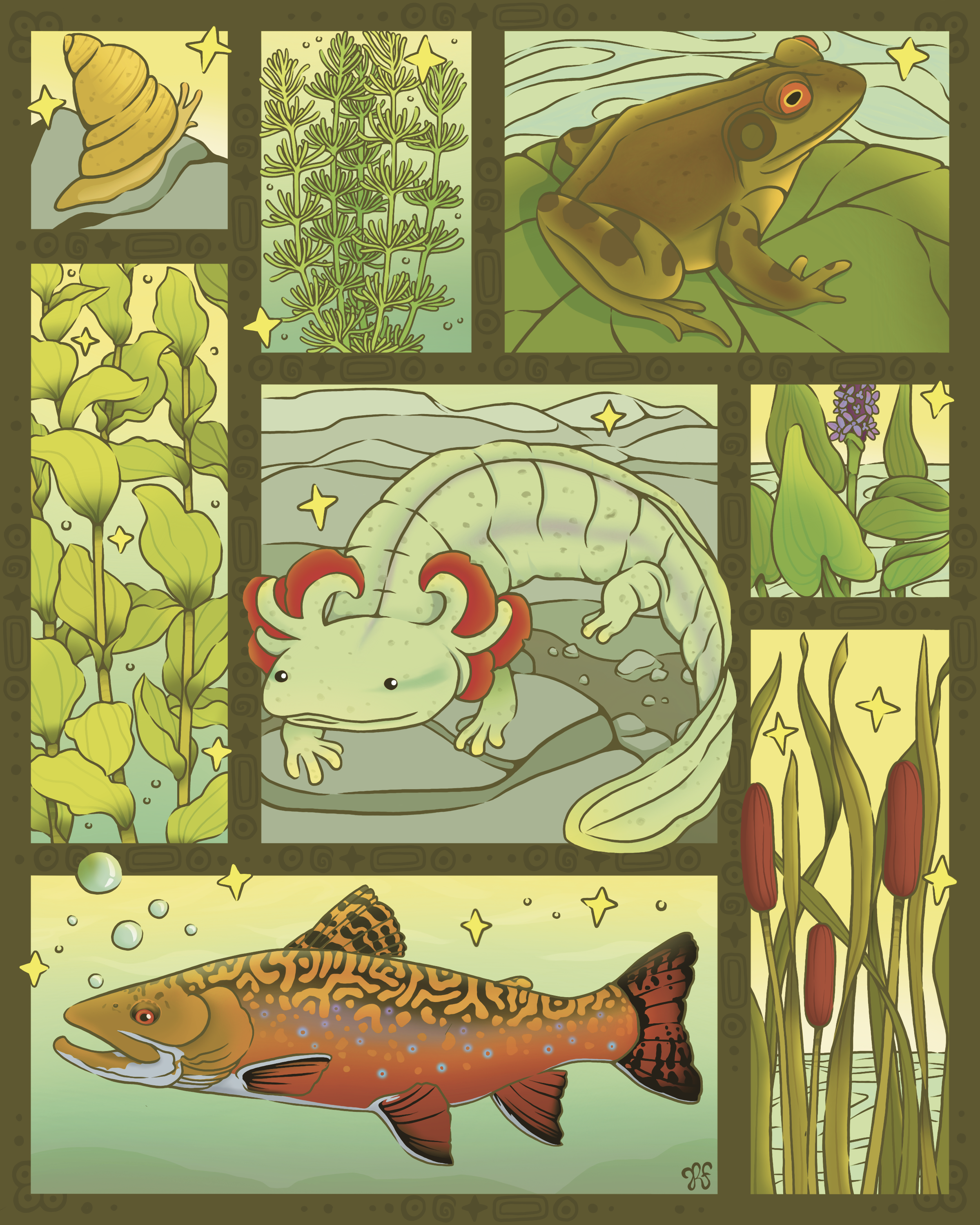 FRESH-WATER_FLORA_AND_FAUNA.png