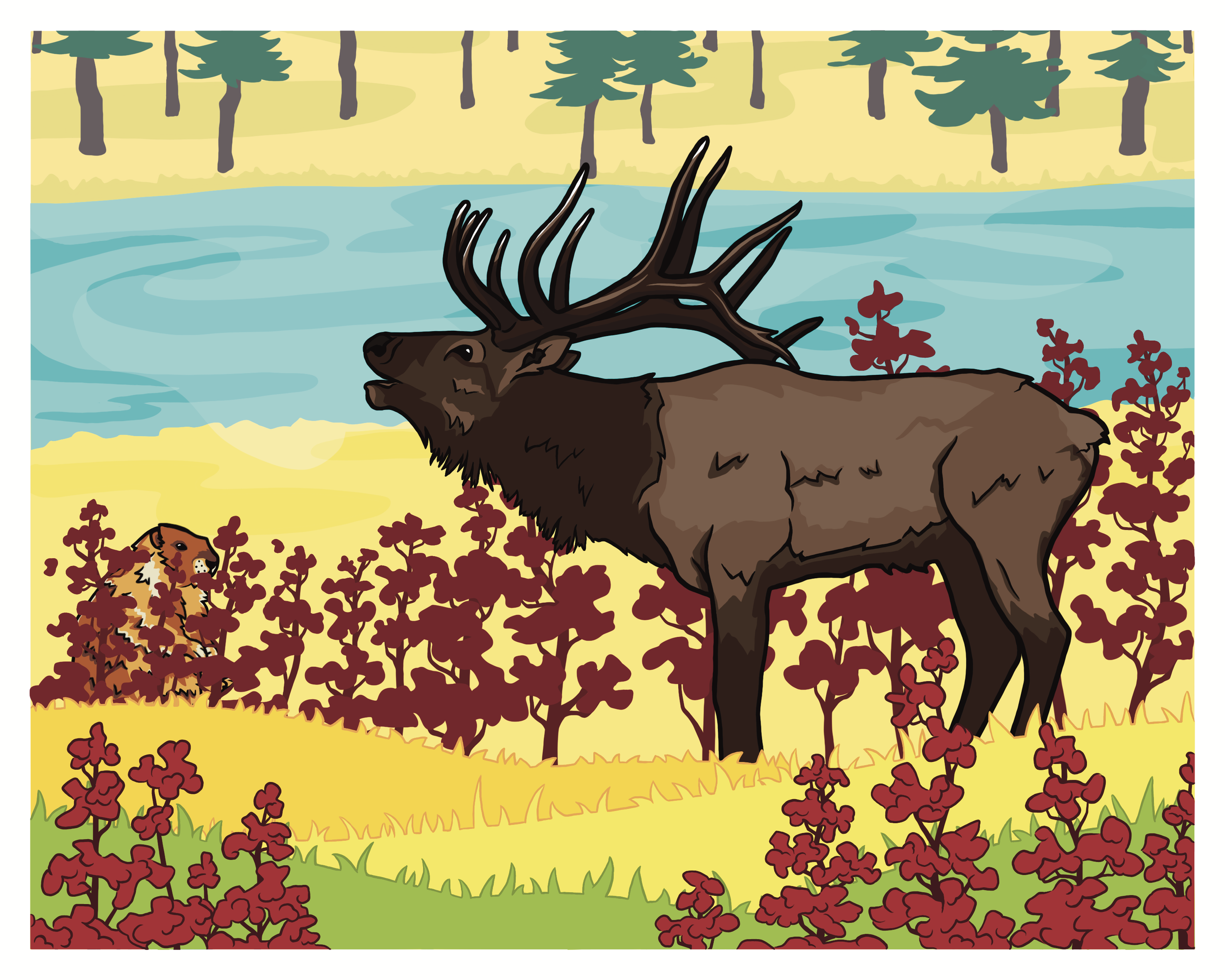 Elk & Marmot - Finished.png