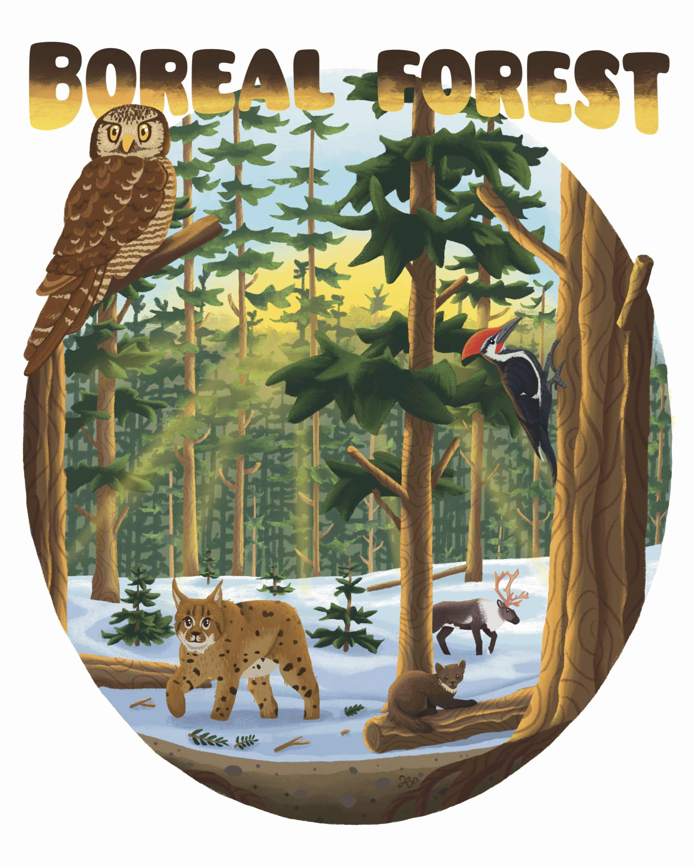 BOREAL_FOREST8x10.png