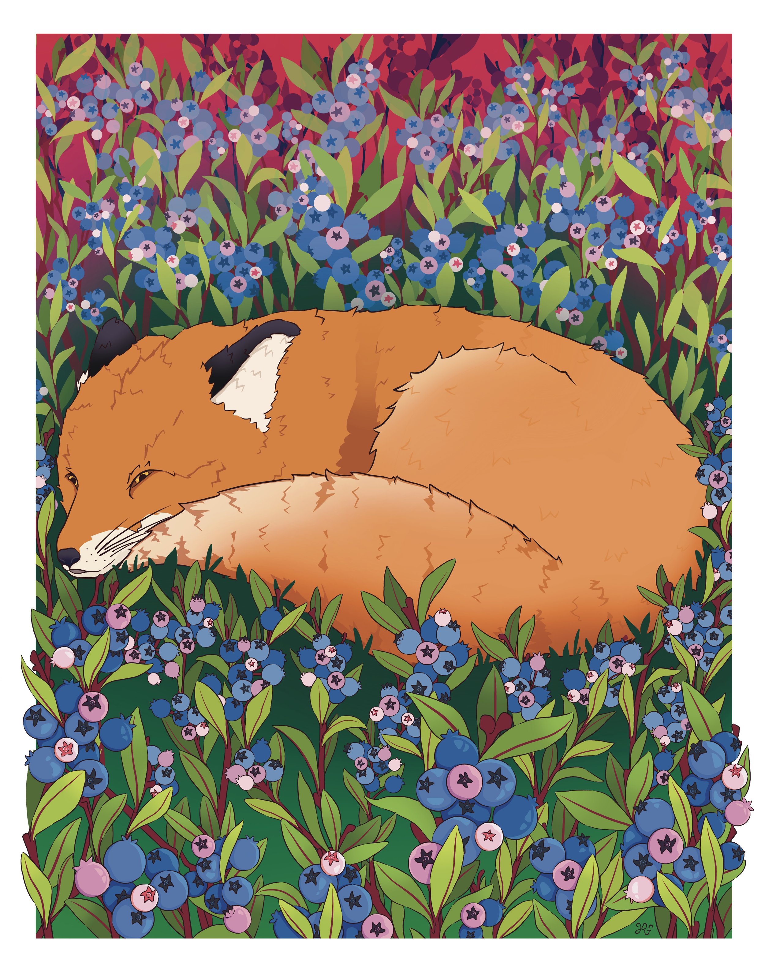 Red_Fox_&_Blueberries_.jpg