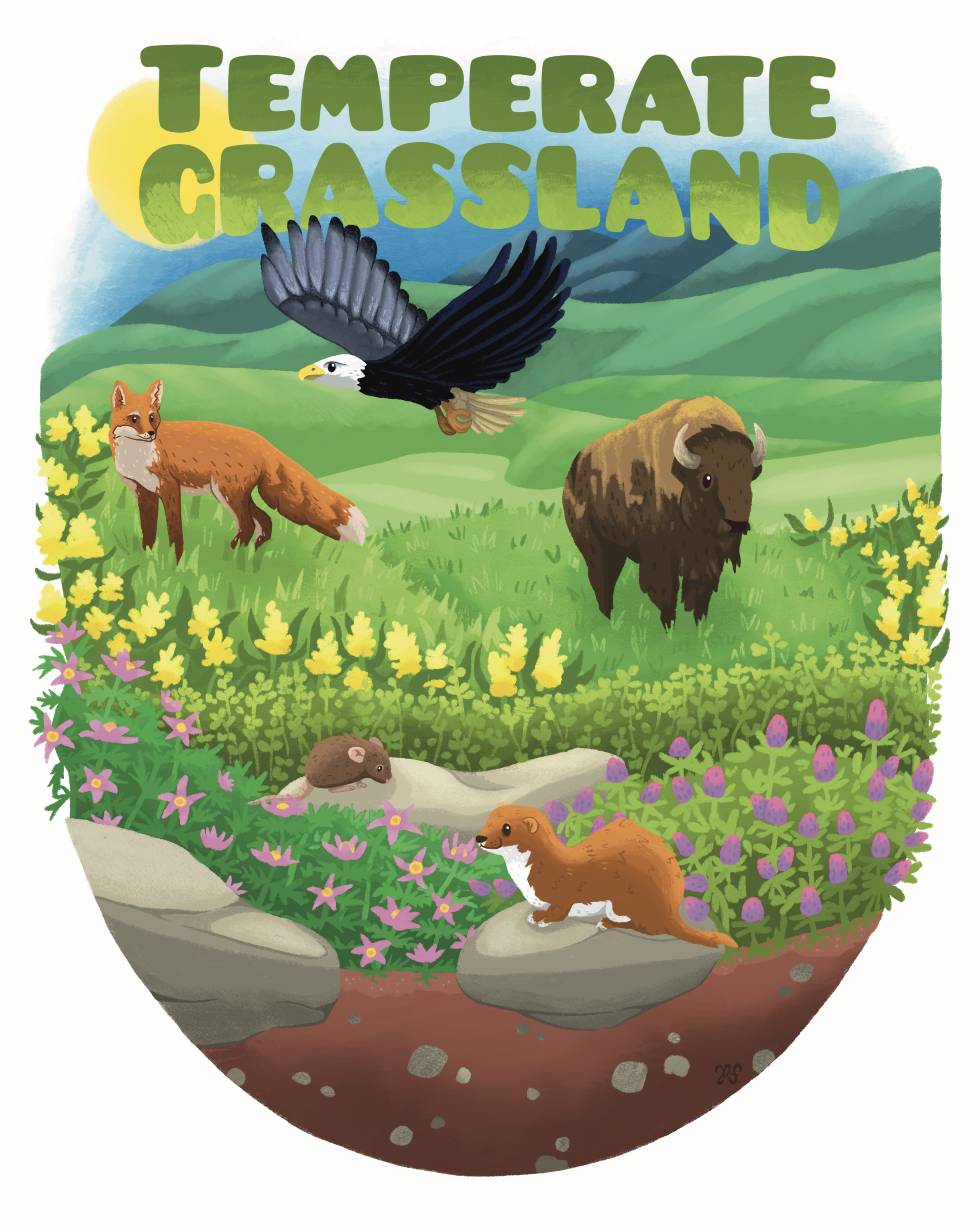 TEMPERATE_GRASSLAND 8x10.png