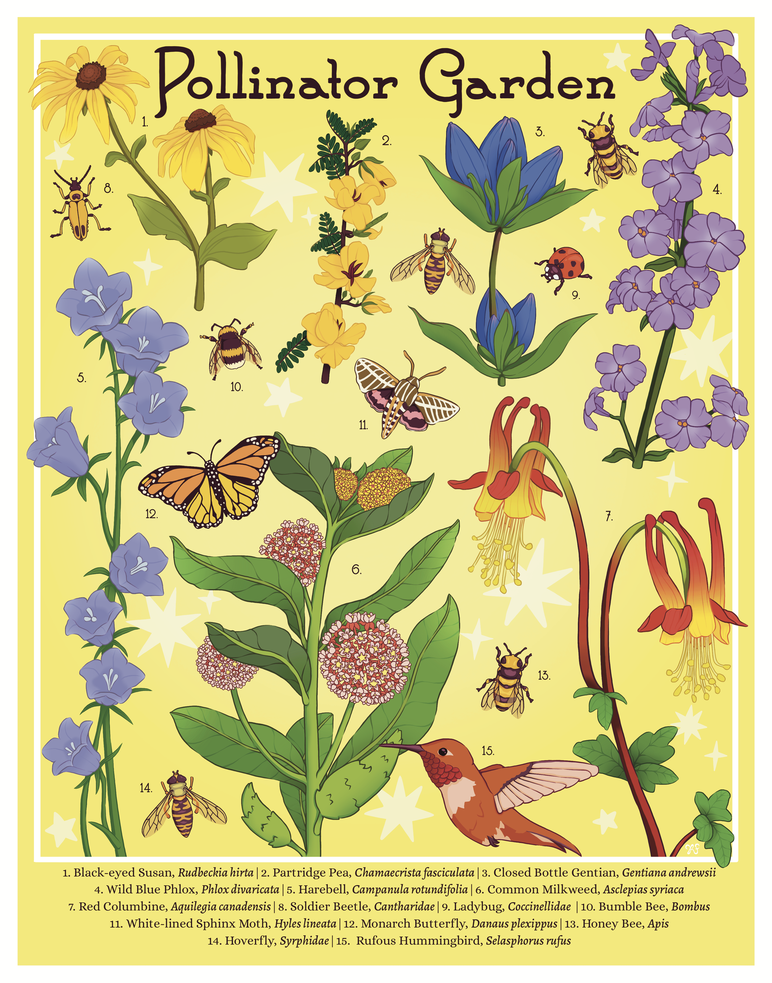 Pollinator Garden.png