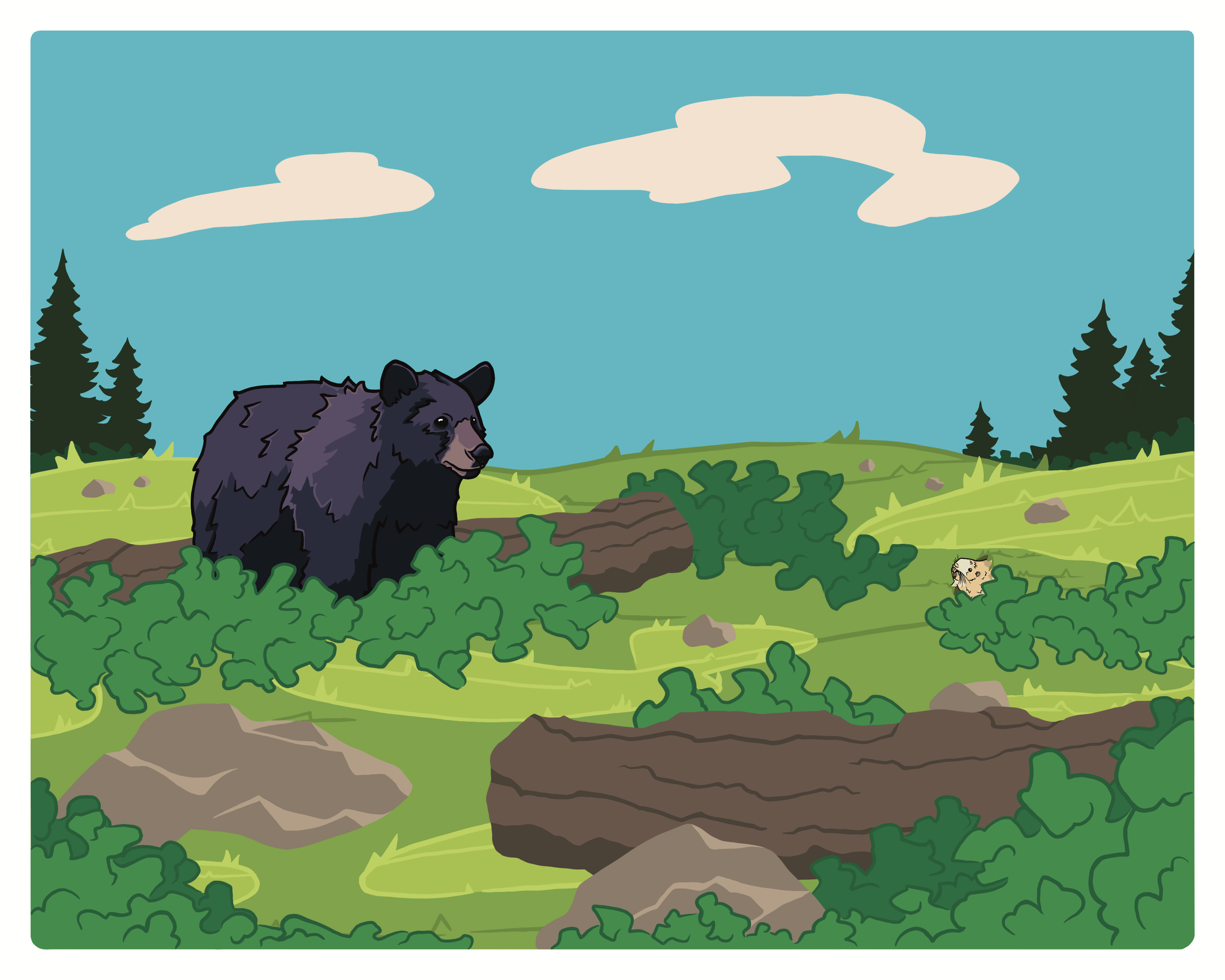 Black Bear & Pocket Gopher - Finished.png