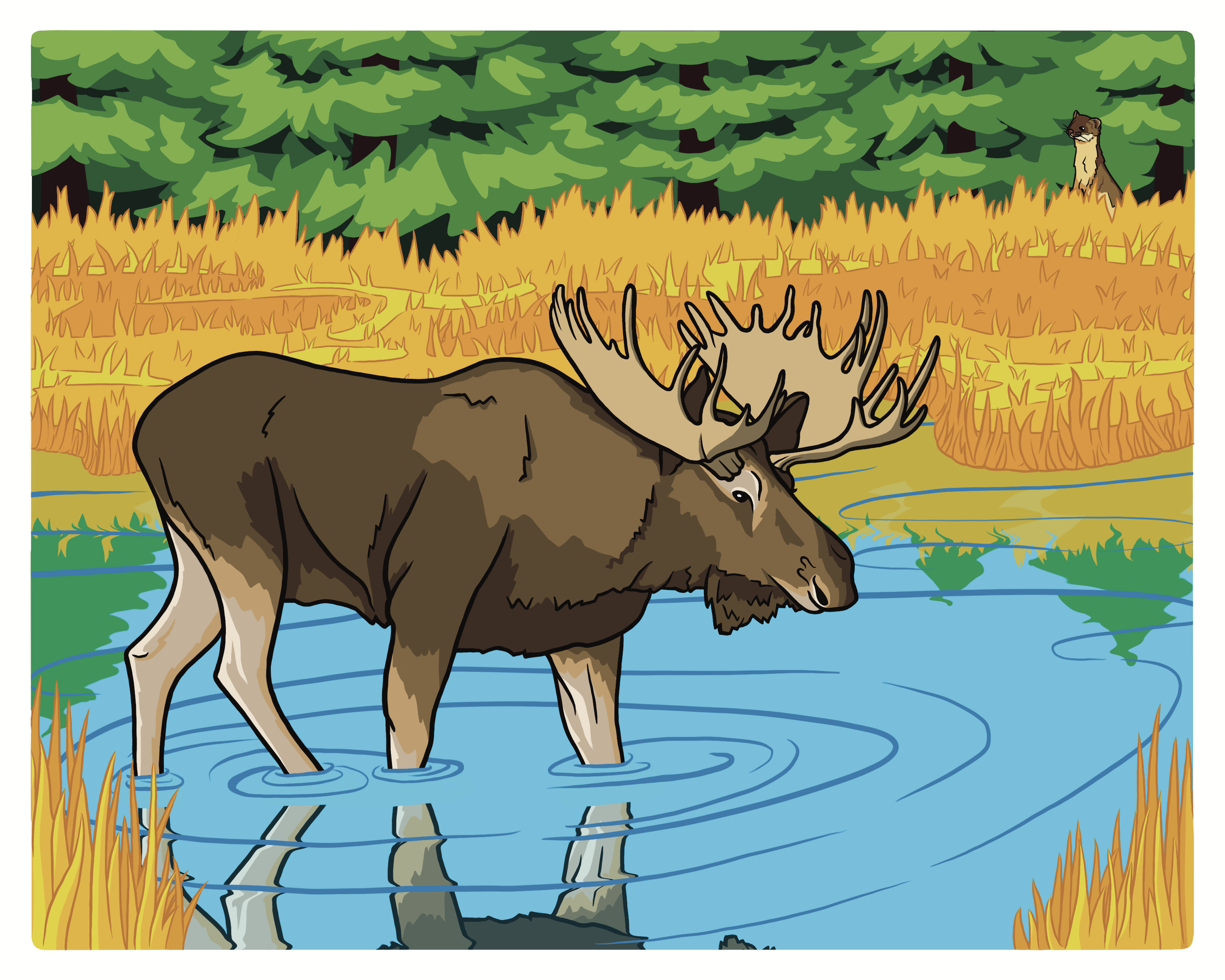 Moose & Long Tailed Weasel - Finished.png