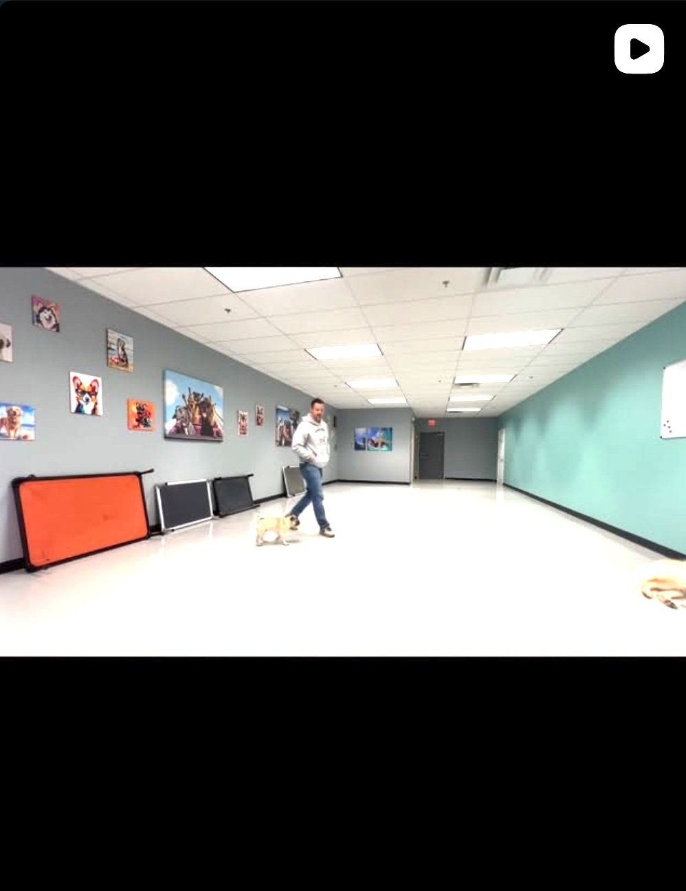 VIDEO - Training session