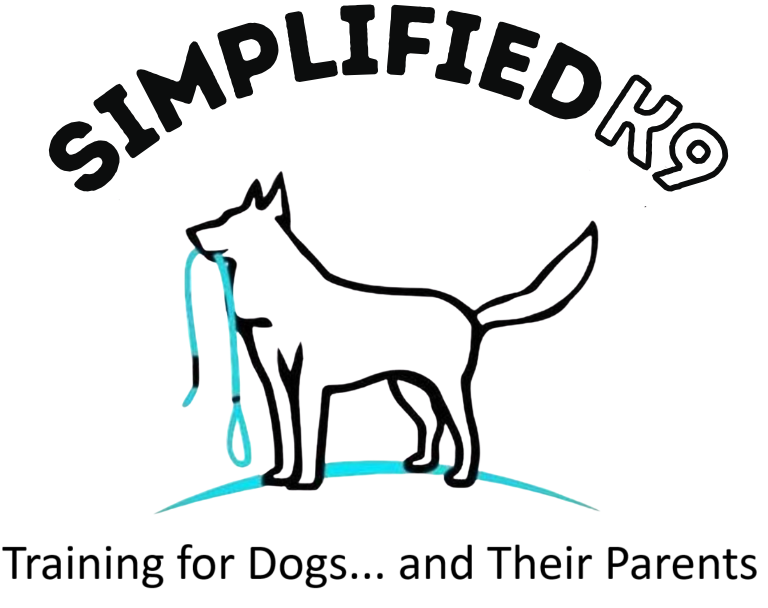 DAXTER&#39;S DOGS - Pet Dog and Pet Parent Training