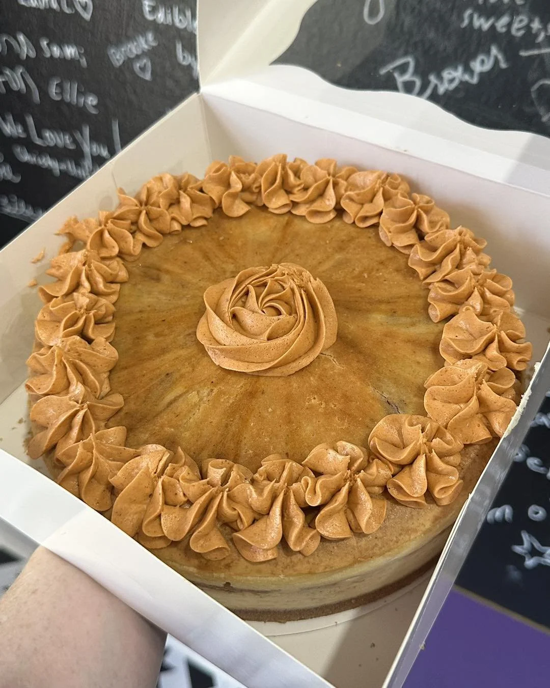 Pumpkin pie cheesecake.jpg