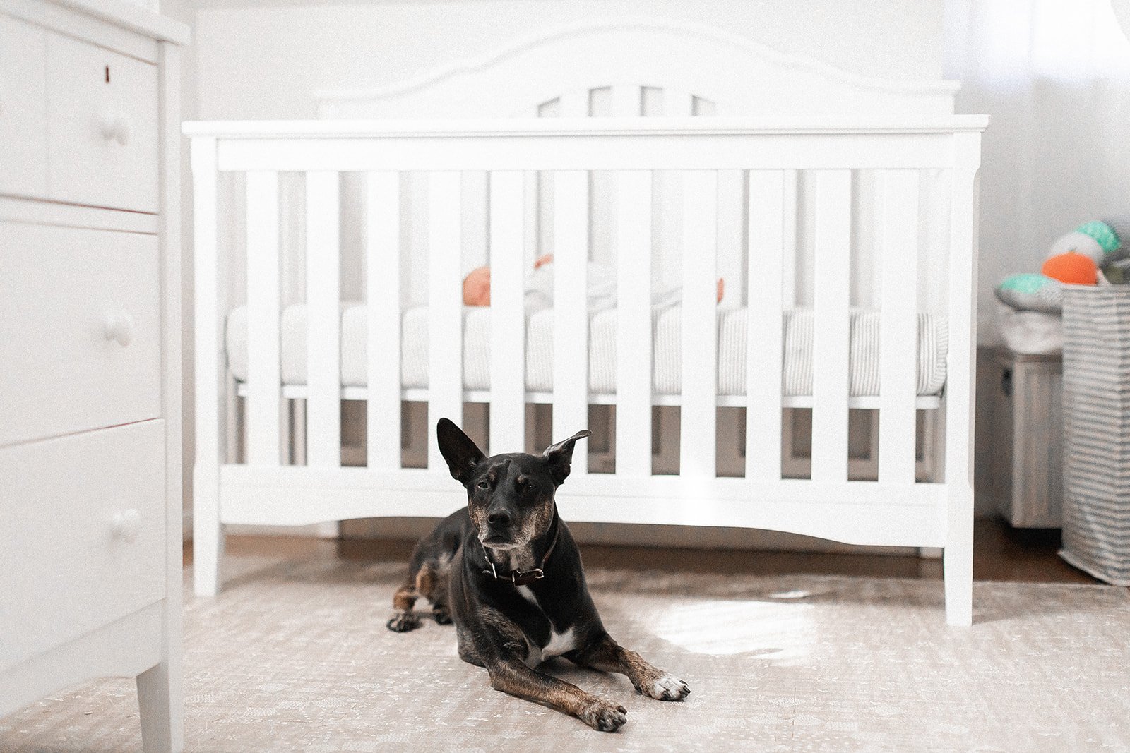 20220928-Hudson Valley Newborn Photographer JacPfef107_websize.jpg