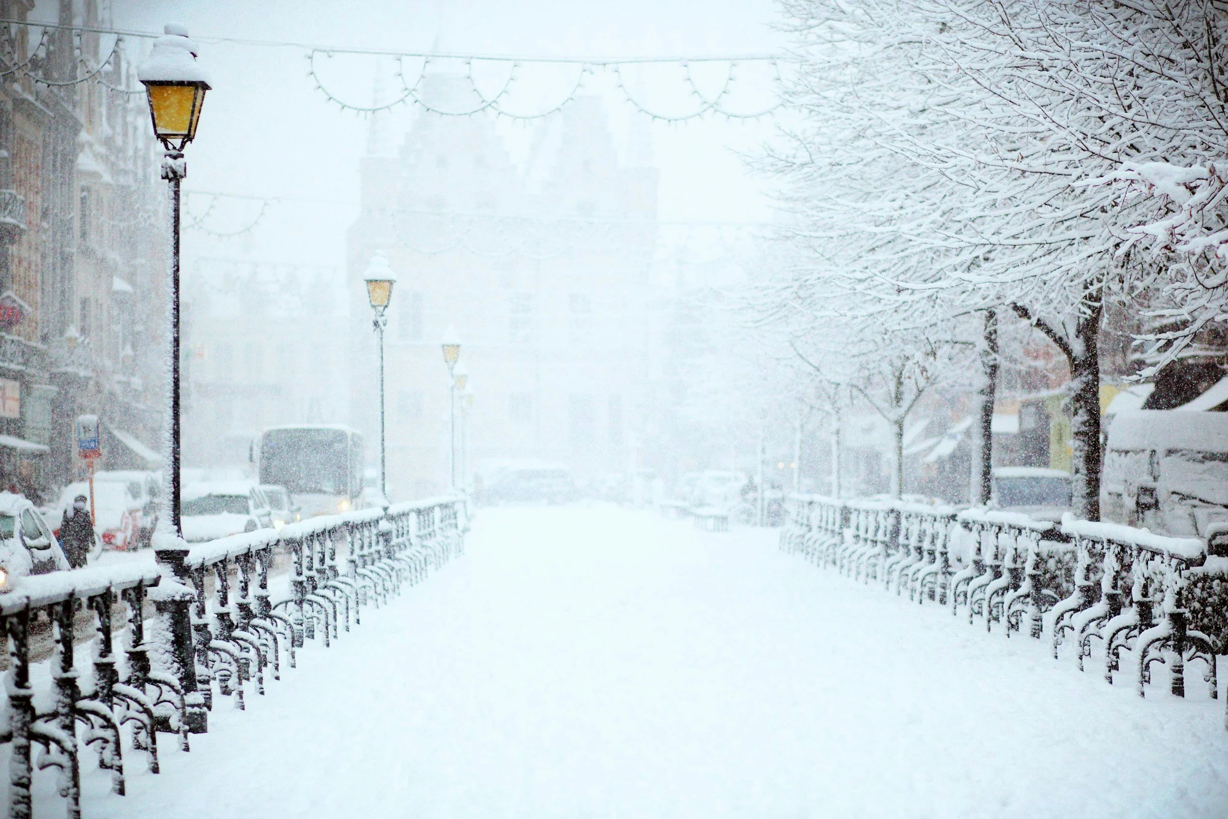 Waiting in Winter