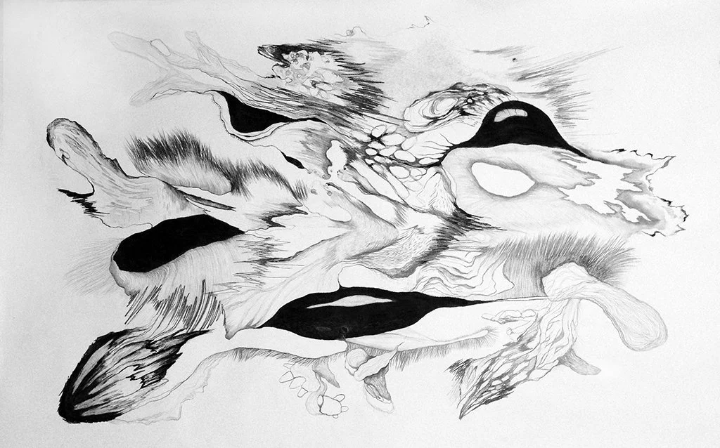 Sismograma 24 /
2016 /
Carbón y grafito sobre papel /
100 X 150 cm
