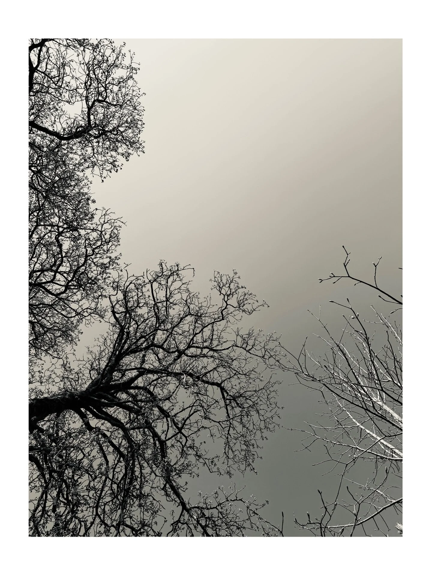 Immensely connected 🔗