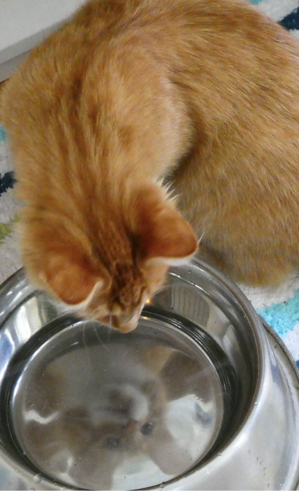 Screenshot 2025-05-07 at 2.42.26 PM.png