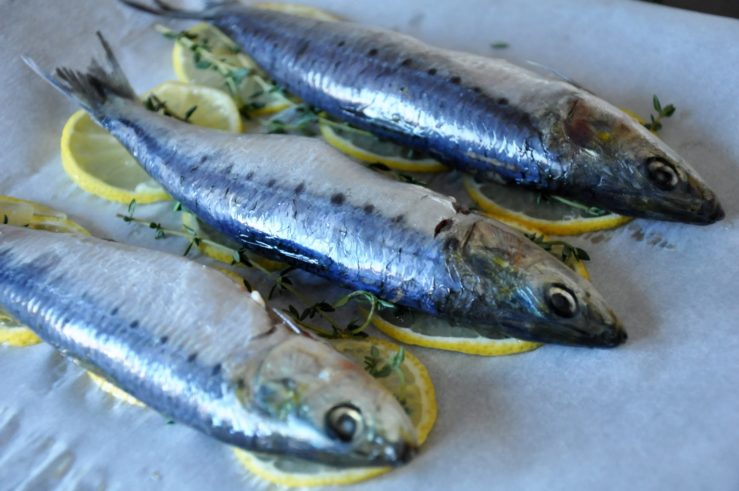 Wulf Fish Global Specialties — Wulf's Fish Wholesale
