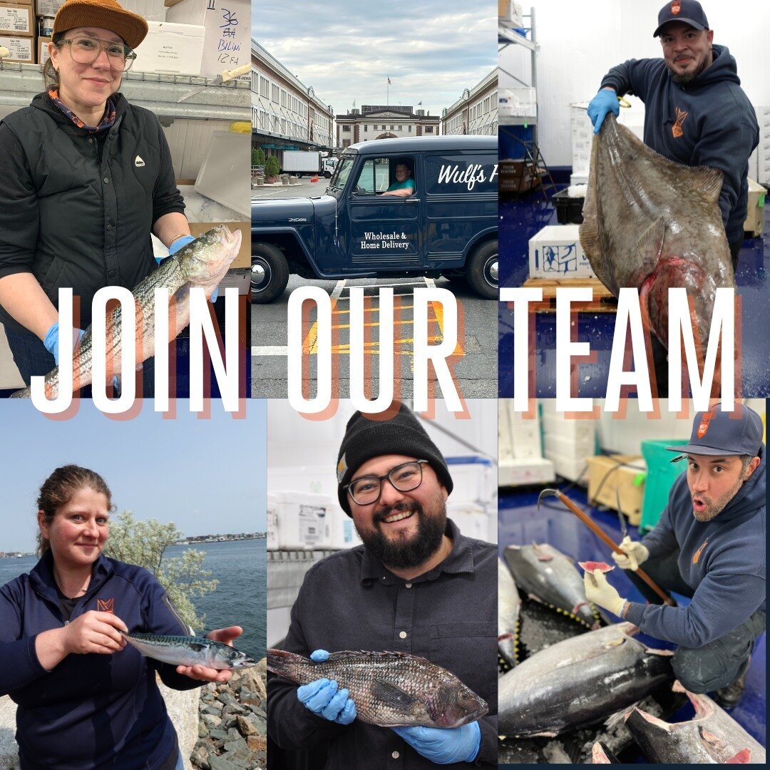 We're hiring! We're currently looking for a SALES ACCOUNT MANAGER, an OPERATIONS MANAGER, and a CUSTOMER &amp; OPERATIONS SUPPORT ASSOCIATE. All roles are based in Boston, MA. If you have a passion for seafood and you're interested in being part of a