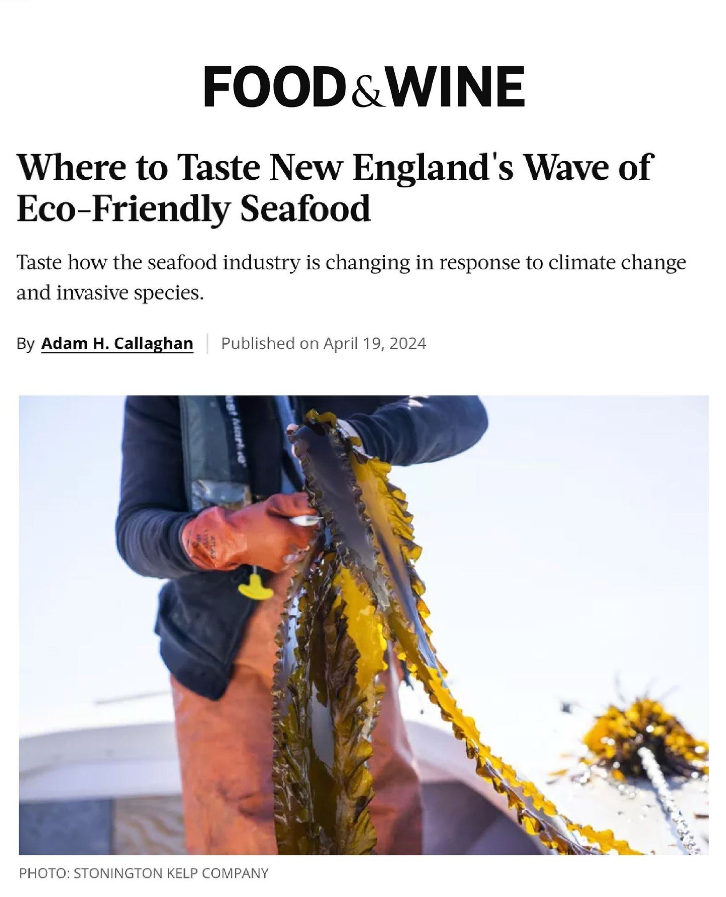 We're honored to be mentioned in Food &amp; Wine for our work building a culinary market for invasive green crabs, which we offer to chefs and home cooks alike. Quite literally, we couldn't do it without you. ⁠
⁠
Since we launched this project in 202