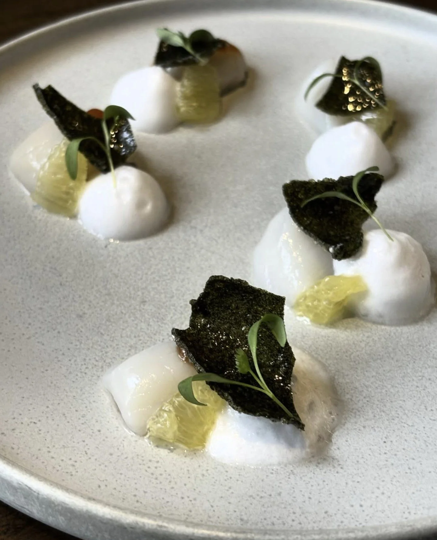 Winter sashimi time at Uni in Boston &mdash; Bay scallops with sake, nori, quince paste, sour orange, and allspice⁠
⁠
#bayscallops #sashimi #bostonchefs #wulfsfish #newfisholdschool