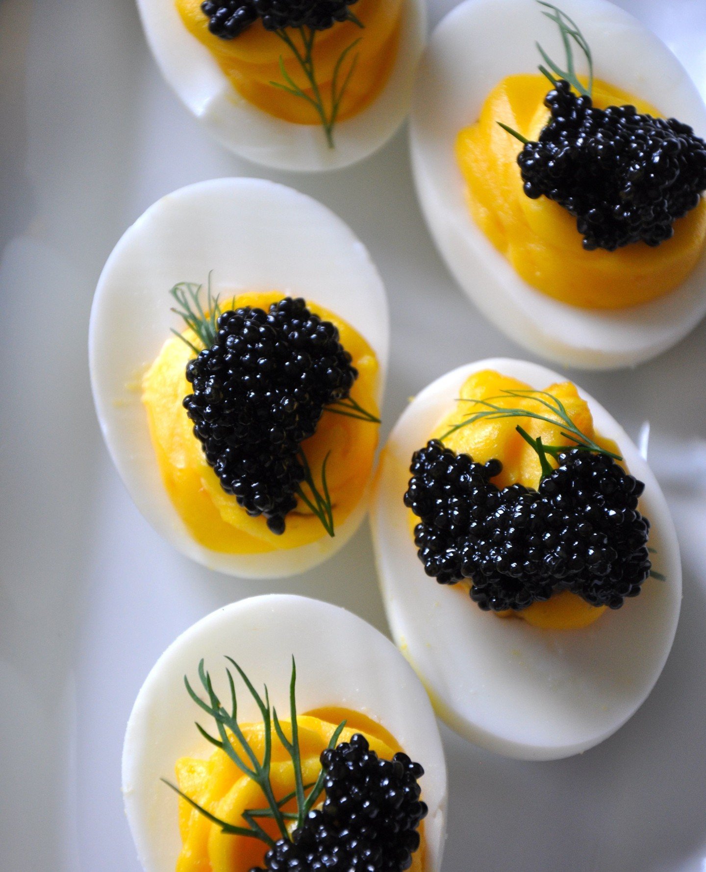 Happy Holidays! Wishing you all a happy, relaxing holiday filled with family, friends, and abundant treats.⁠
⁠
We are closed Thursday 12/25, but we'll be back at it on Friday 12/26.⁠
⁠
#wulfsfish #newfisholdschool