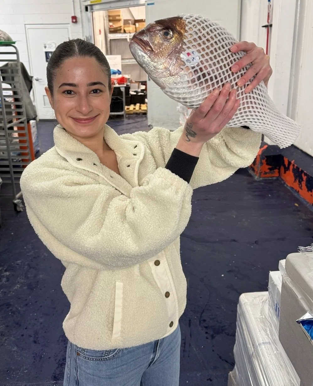 Japanese 🇯🇵 madai &mdash; these fish are coming to us from the same producer who flies us fresh hamachi directly from Japan each week, and the quality is unreal. ⁠
⁠
This fish is by pre-order, although we will have a few extra on hand in the Wednes