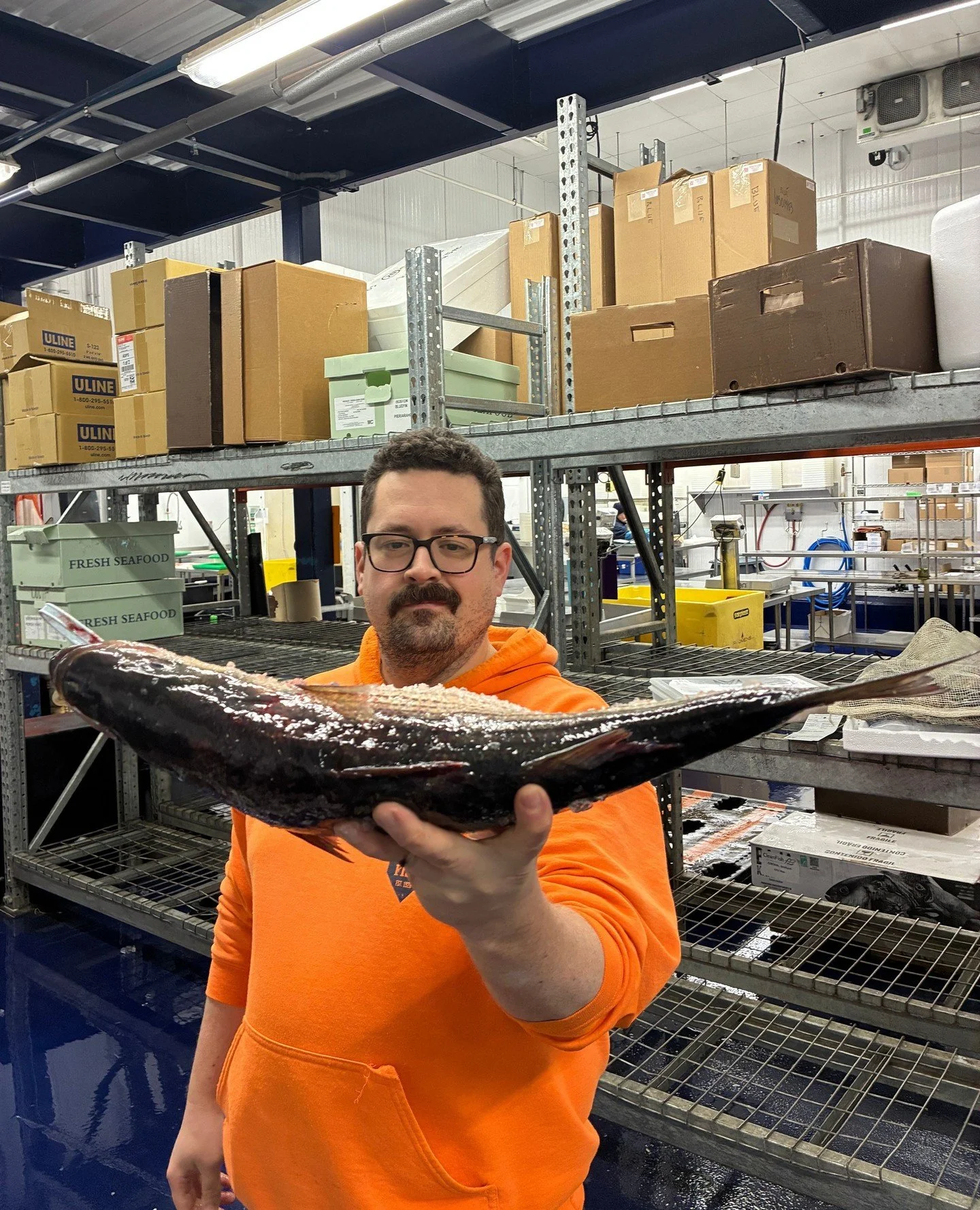 Rob can see into your future, and he predicts you'll want some of these Maryland striped bass that are so fresh they're still in rigor. ⁠
⁠
#fortunetellerfish #stripedbass #fishmonger #wulfsfish #newfisholdschool