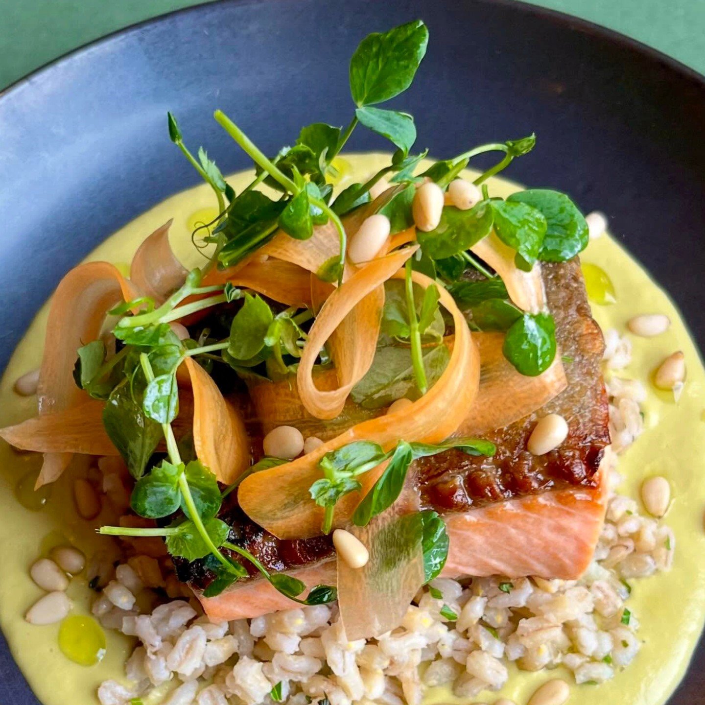 A little bit cozy and a little bit spring &mdash; pan-seared steelhead trout at Calico in Easthampton, MA.⁠
⁠
Herbed barley, preserved lemon, spring leek and scallion soubise, Loch Etive steelhead trout.⁠