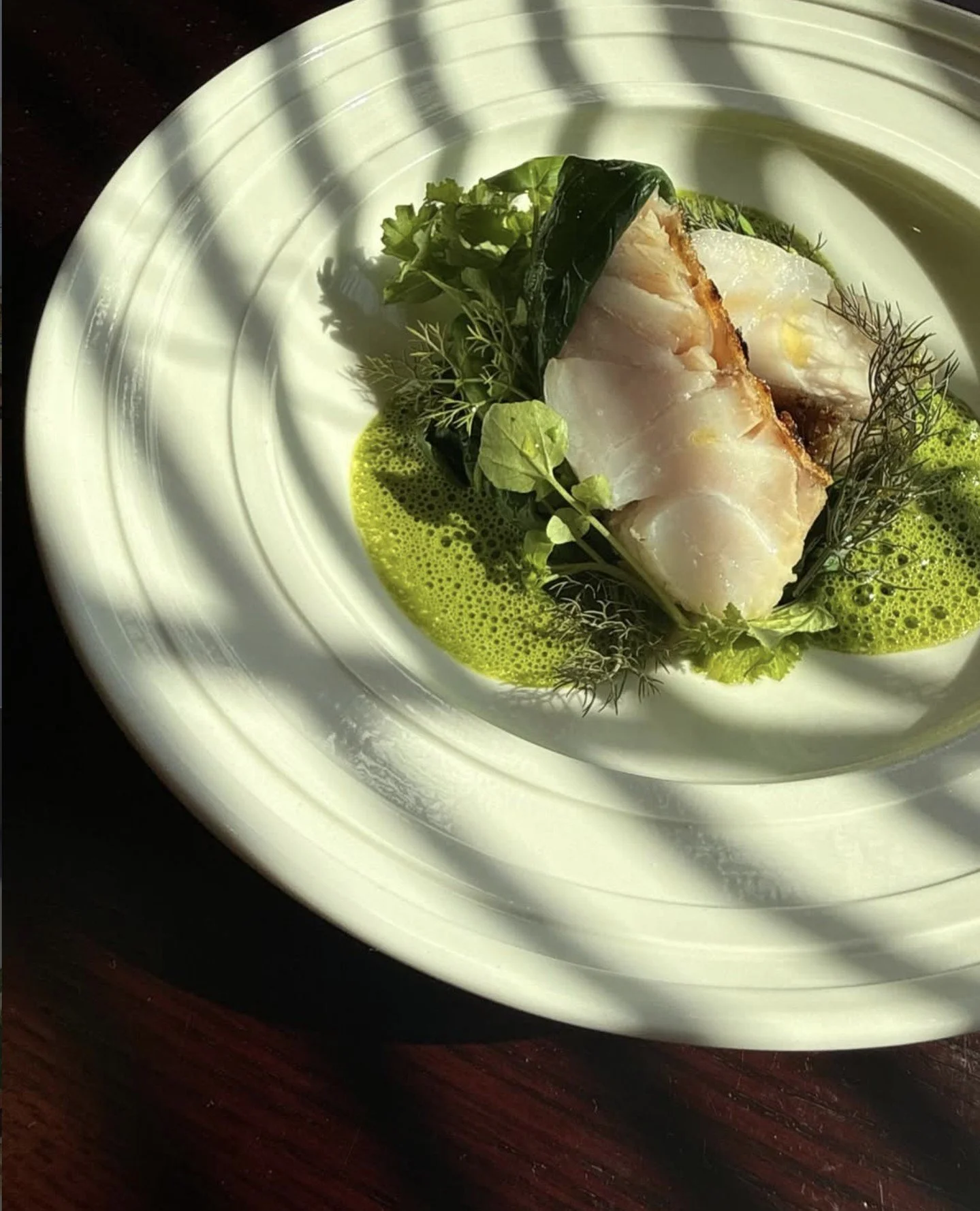 Spring is in the house &mdash; line-caught grouper, spinach, snap pea, green garlic smoked eel broth at Junior in Nashville, TN.