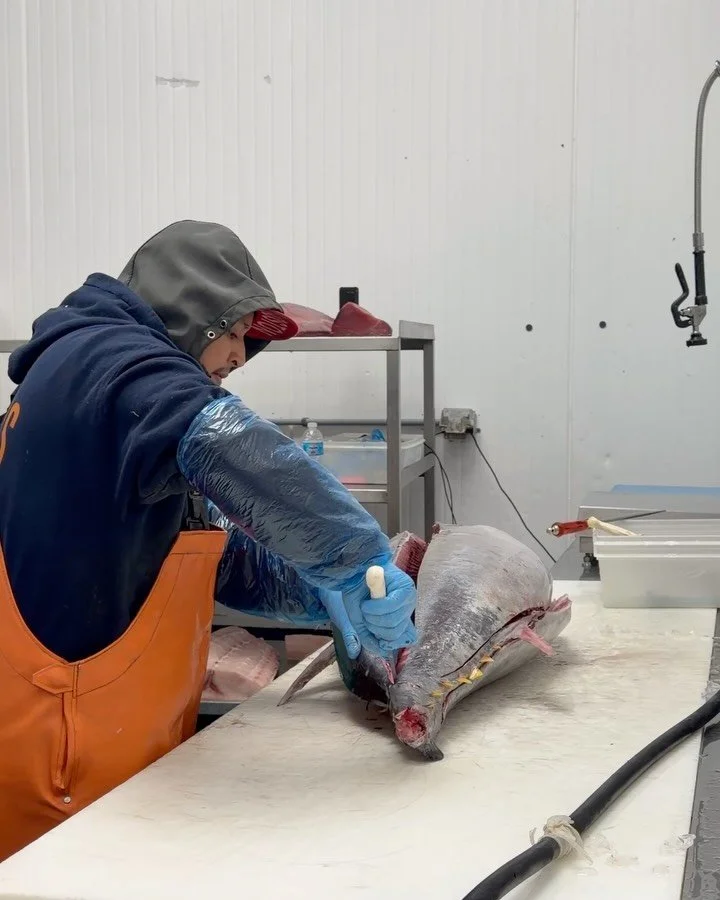 Diego cutting some stunning bigeye tuna just in from Canada. Talk to your rep to get some.