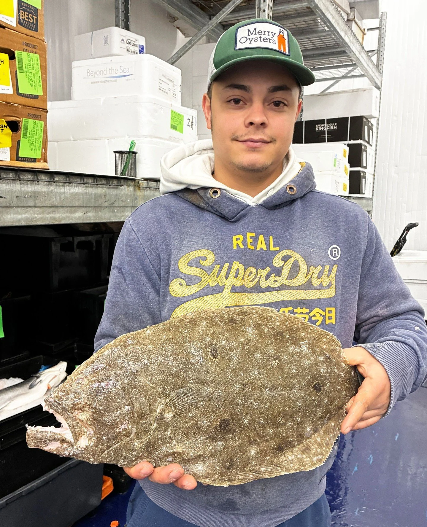 Crudo Alert! We've got some beautiful, spear-caught Florida Fluke, also known as Southern Flounder, held here by Armando. ⁠
⁠
This fish is mild, sweet, and makes a fantastic crudo.