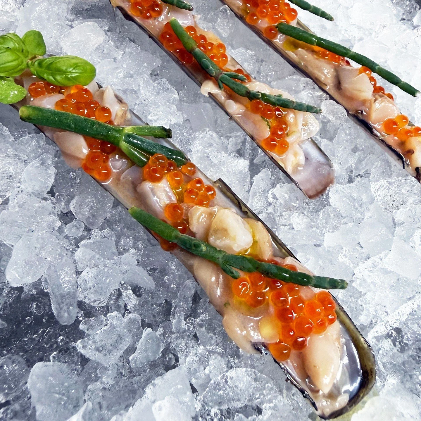 As we reluctantly admit that summer is winding down, here are some of our favorite dishes of the season, in order of appearance:⁠
⁠
CRU, Nantucket &mdash; Razor clams, trout roe, sea beans, basil; chef @ekorshie⁠
⁠
Penny, NYC &mdash; Spear-caught sna
