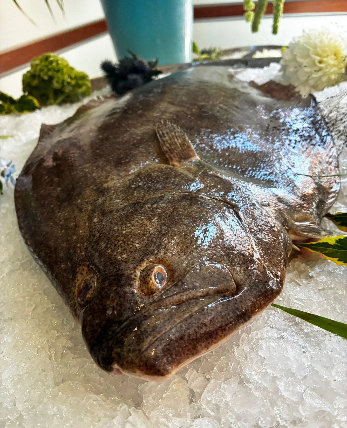Flat is Back. Flounder is a great local fish that never left us, but ended up on the wrong side of fashion for a few years causing fishermen to catch below their quotas. Now it's ready for its glow up with a chef council and brand new campaign from M