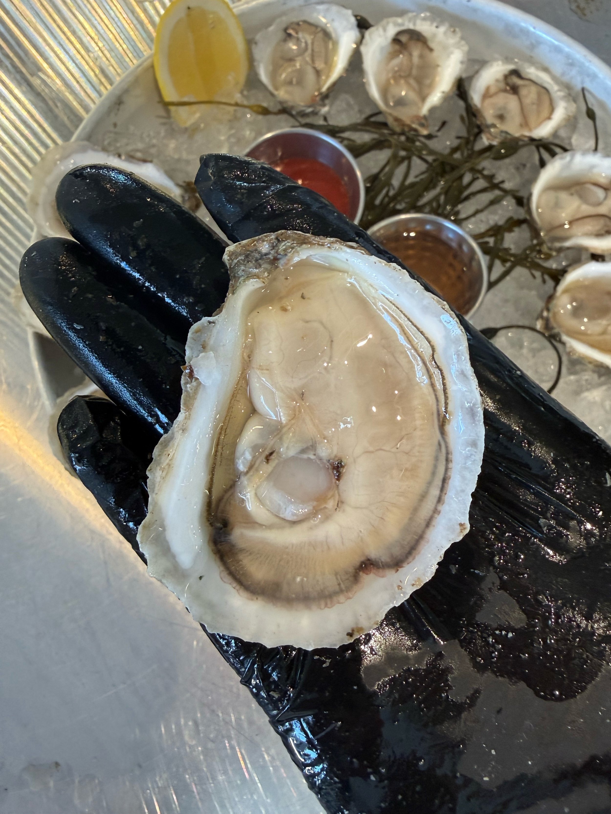 Oyster Spotlight - Poppy oysters from Mashpee, MA

Tasting notes: They&rsquo;re a medium brine oyster with a rich, umami finish.

Oyster Size: 3.5 inches

Grow out method: Floating gear in Popponesset Bay