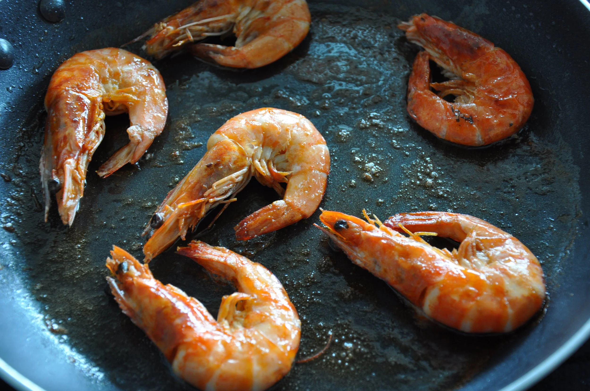Shellfish + Cephalopods — Wulf's Fish Wholesale