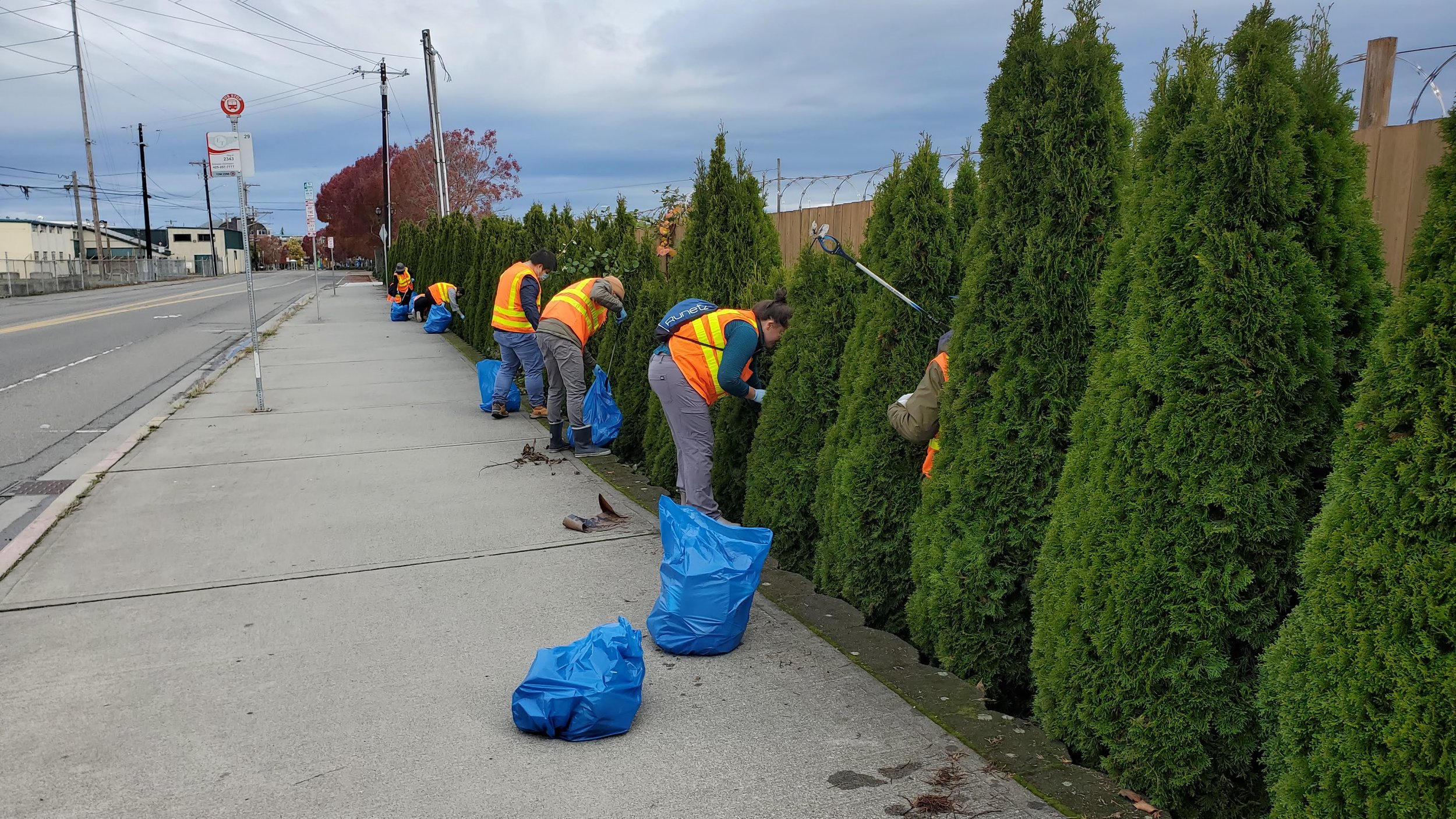 Summer Community Cleanup