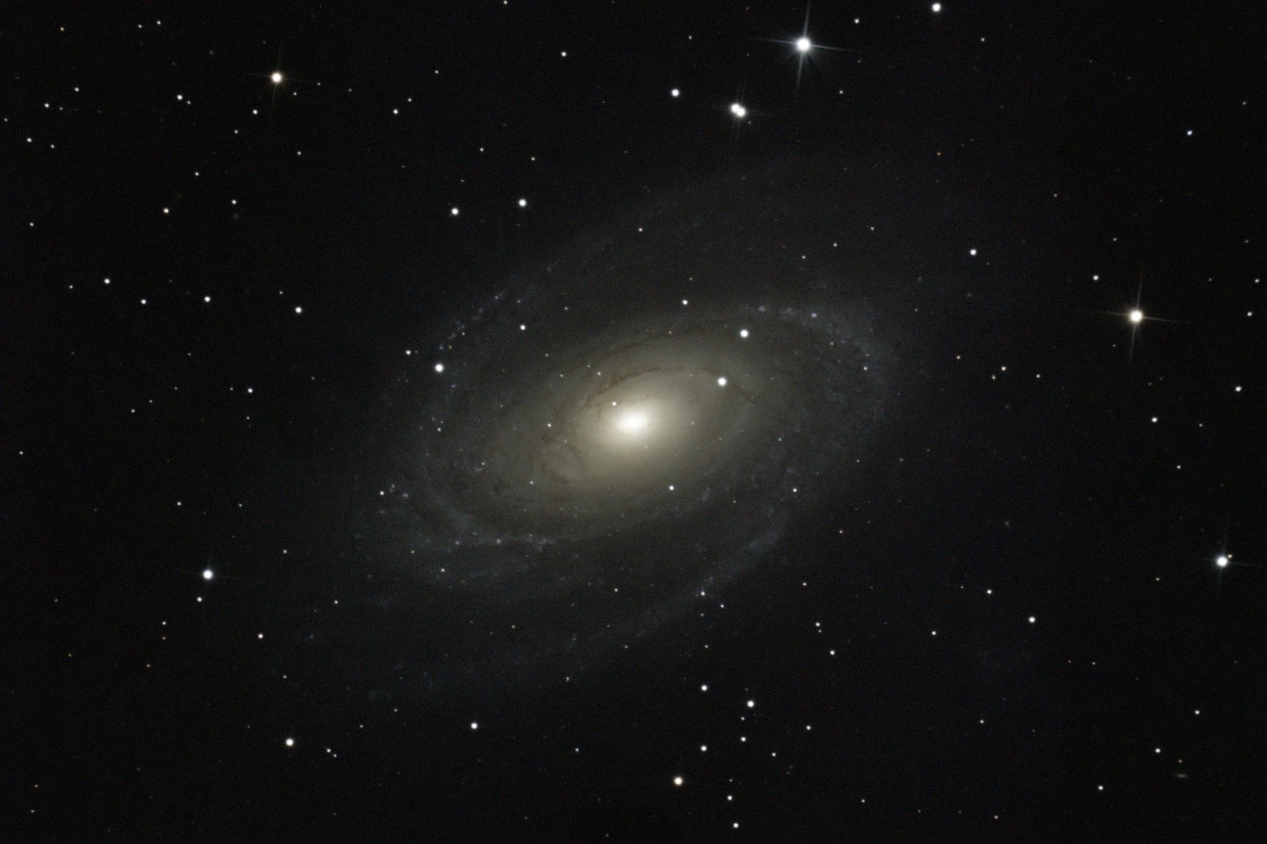 M81