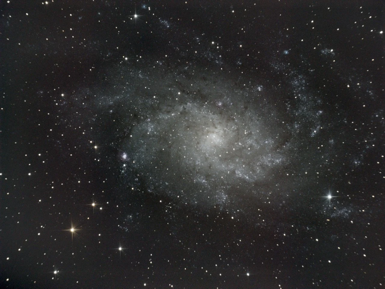 M33
