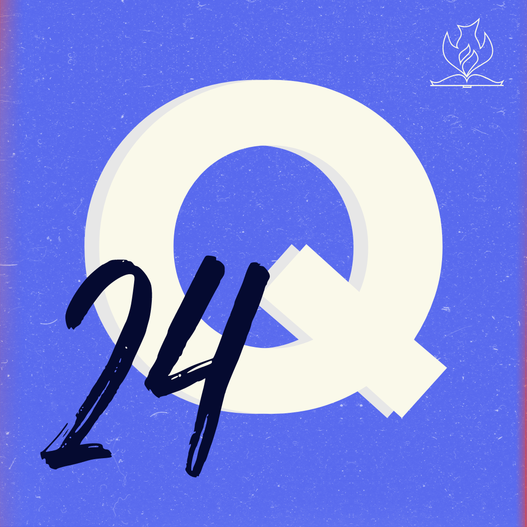 Quarterly 24