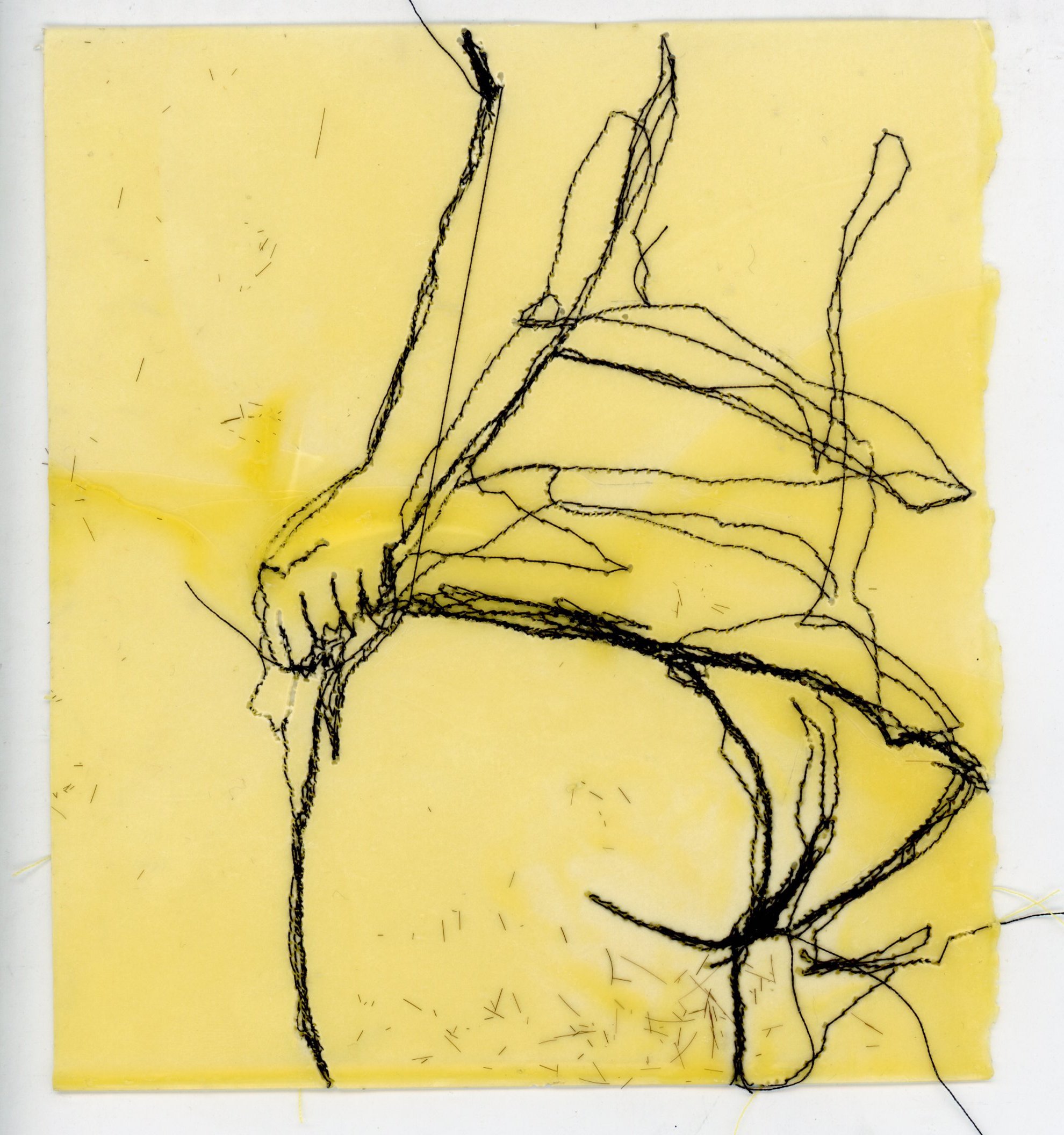 “Tu Eres Una Mujer Decente”, 2022
Hand pulled paper, dry embossment, indigo watercolor, common
Dandelion weeds, Dandelion seeds, wood,
11 In X 14 In