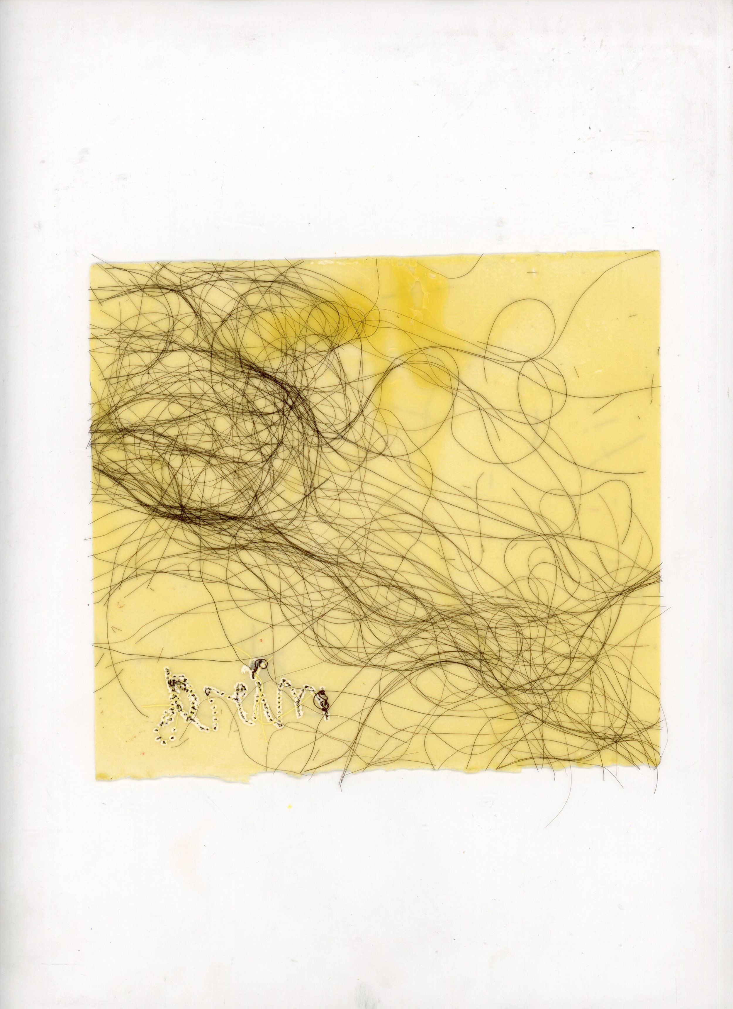 “Tu Eres Una Mujer Decente”, 2022
Hand pulled paper, dry embossment, indigo watercolor, common
Dandelion weeds, Dandelion seeds, wood,
11 In X 14 In