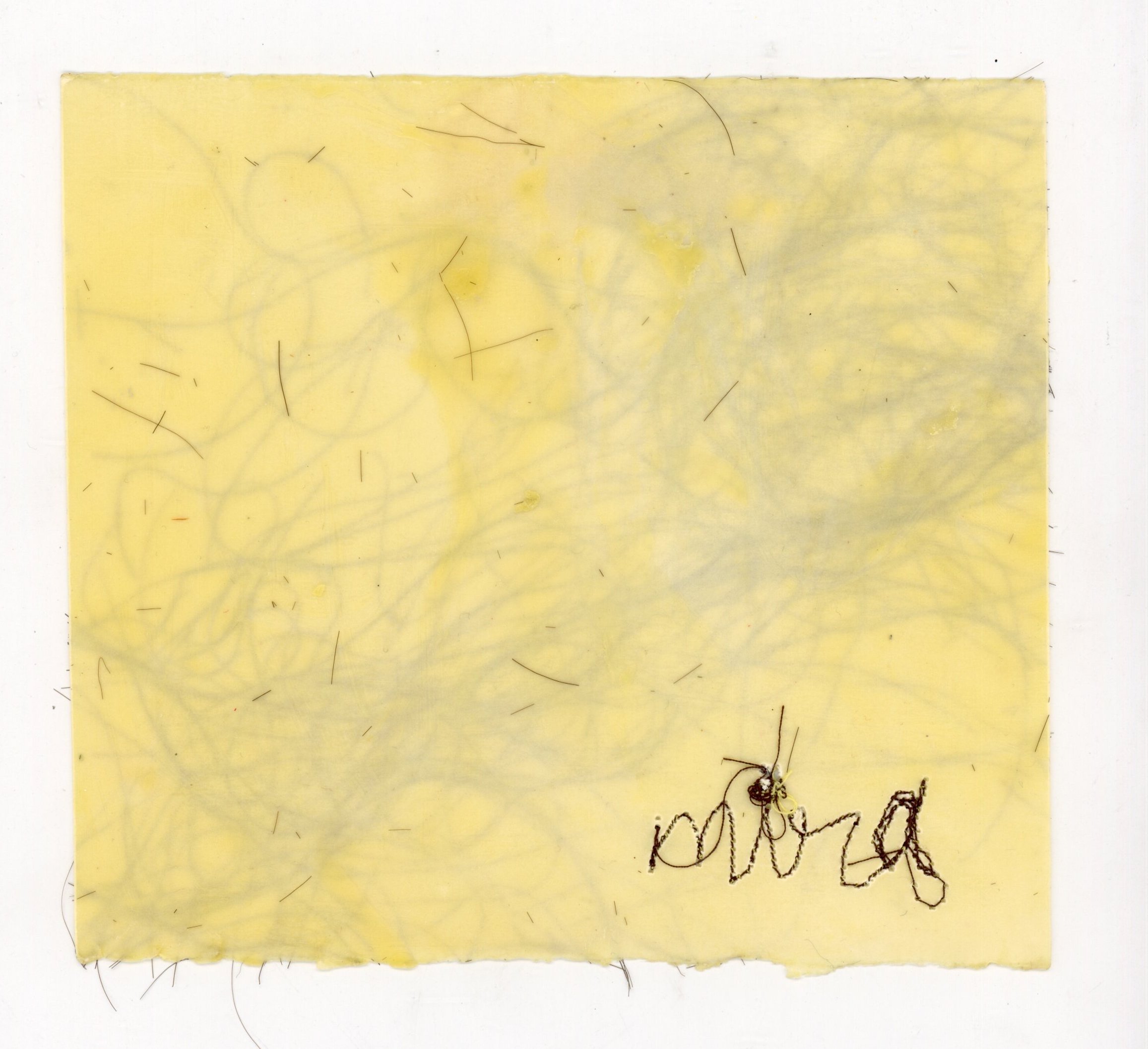 “Tu Eres Una Mujer Decente”, 2022
Hand pulled paper, dry embossment, indigo watercolor, common
Dandelion weeds, Dandelion seeds, wood,
11 In X 14 In