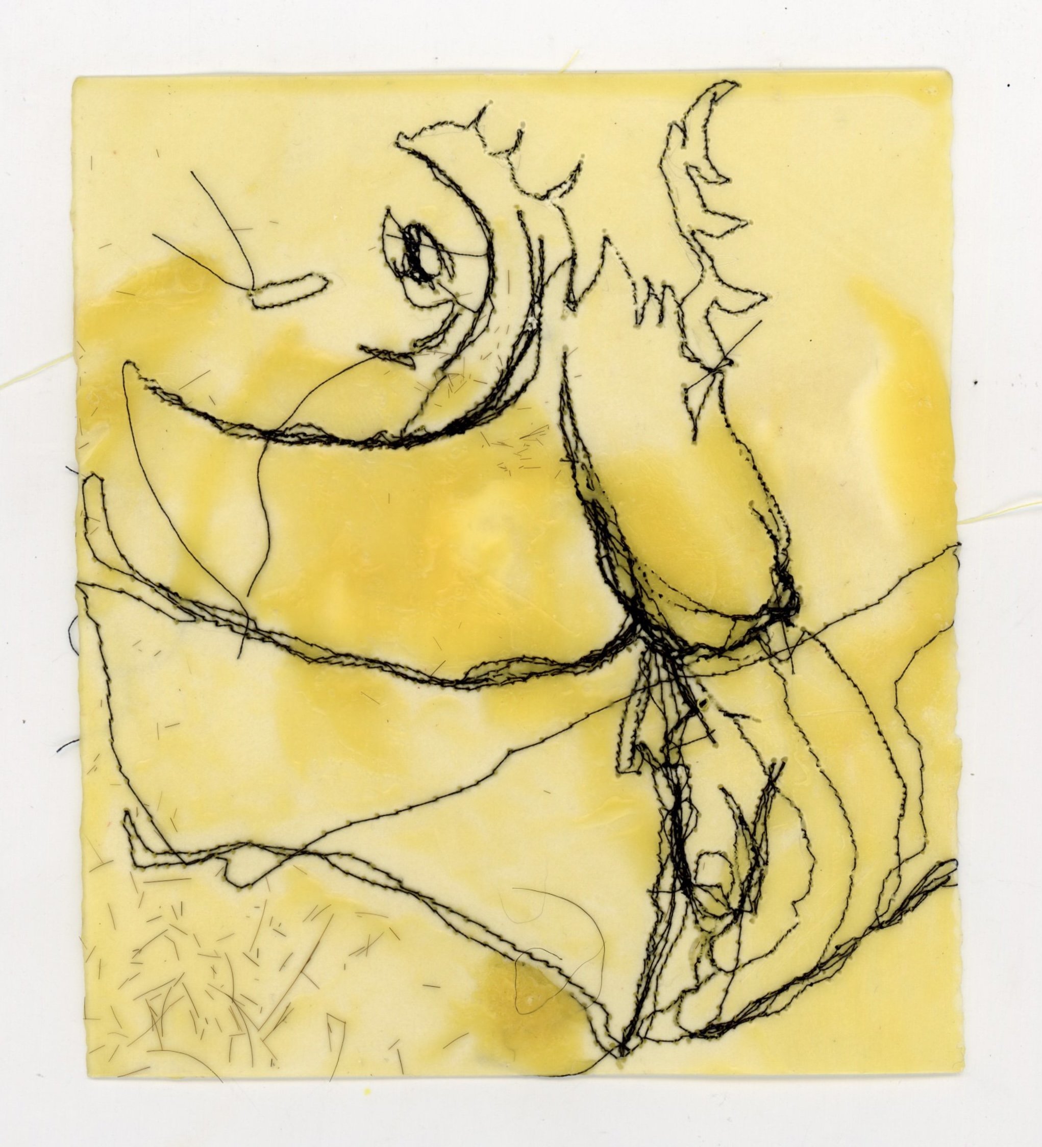 “Tu Eres Una Mujer Decente”, 2022
Hand pulled paper, dry embossment, indigo watercolor, common
Dandelion weeds, Dandelion seeds, wood,
11 In X 14 In