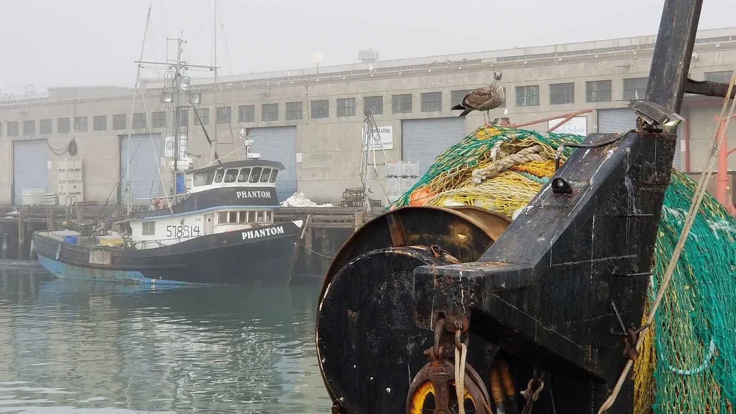 urban-sanfran2.jpg