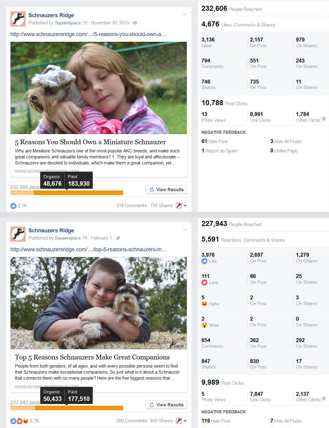 Facebook Ads for Client (Schnauzer kennel) - Linked to blog posts. Passionate content stirs viral numbers. Client converted multiple sales nationwide.