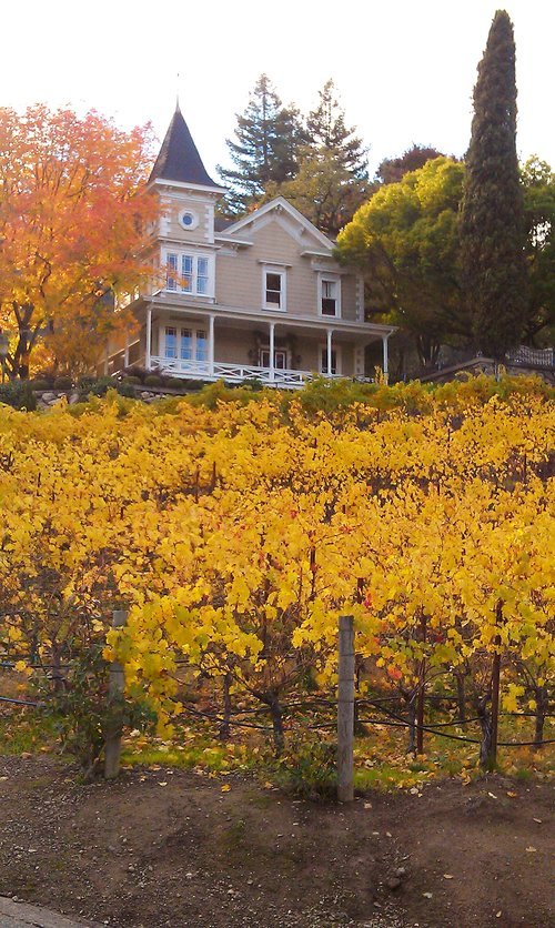 nl_winecountry2.jpg