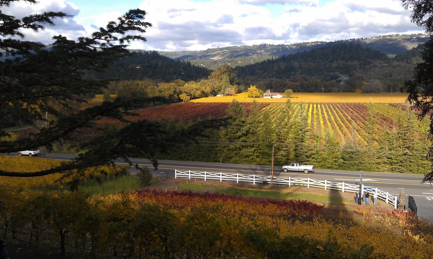 nl_winecountry.jpg