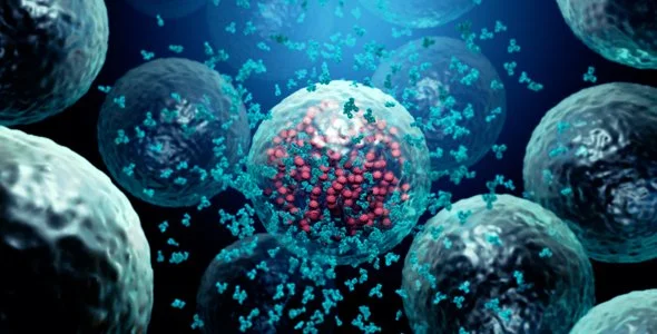 3d-illustr_immune-system-antibodies.jpg