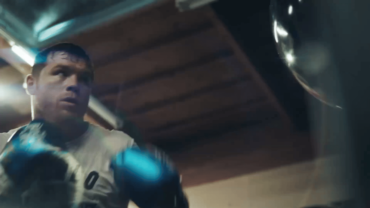 Canelo 3.gif