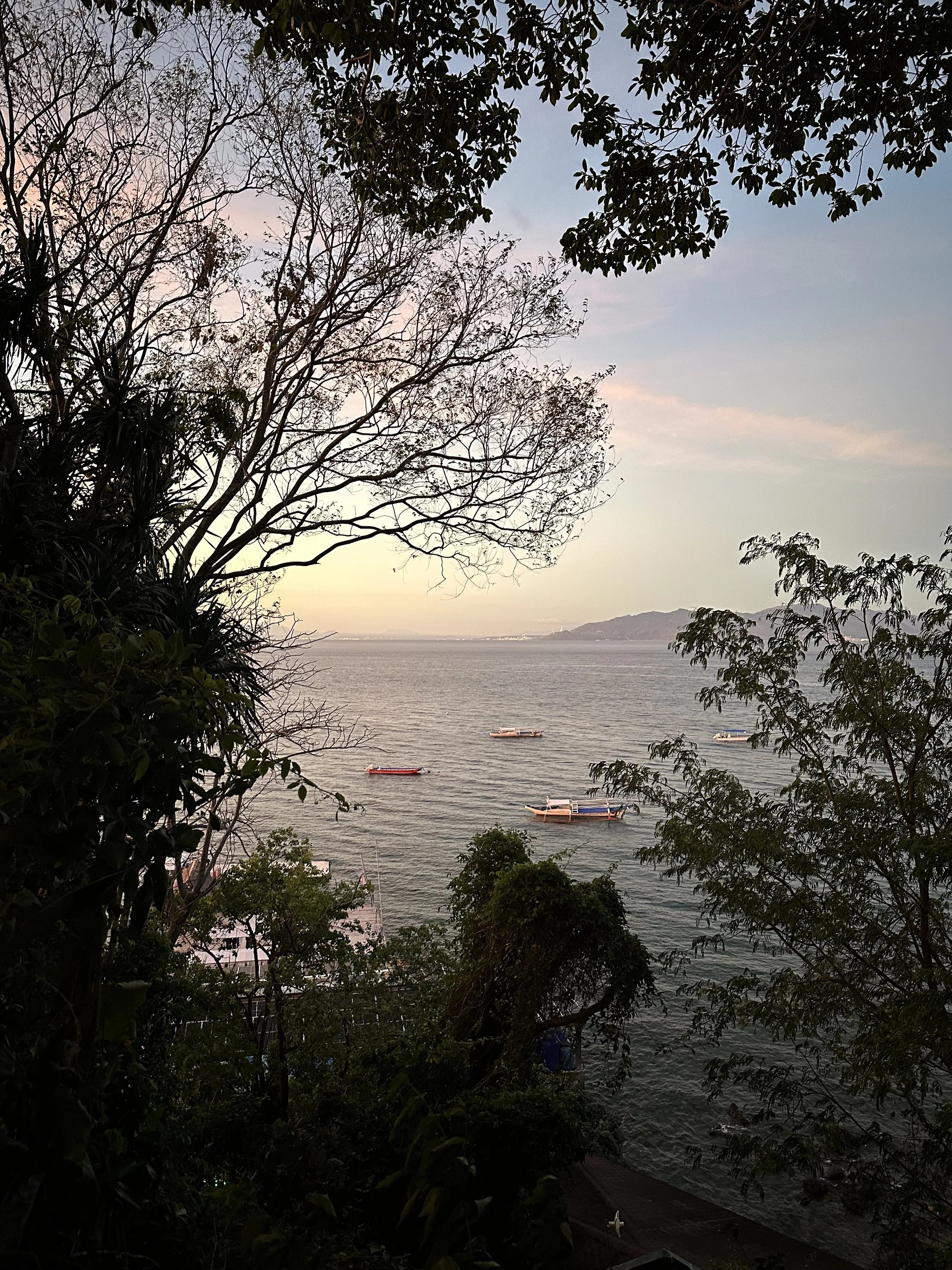 A tranquil view of a body of water with several boats floating on the surface, viewed through a frame of trees with sparse branches and greenery, with mountains in the background and a light sky.