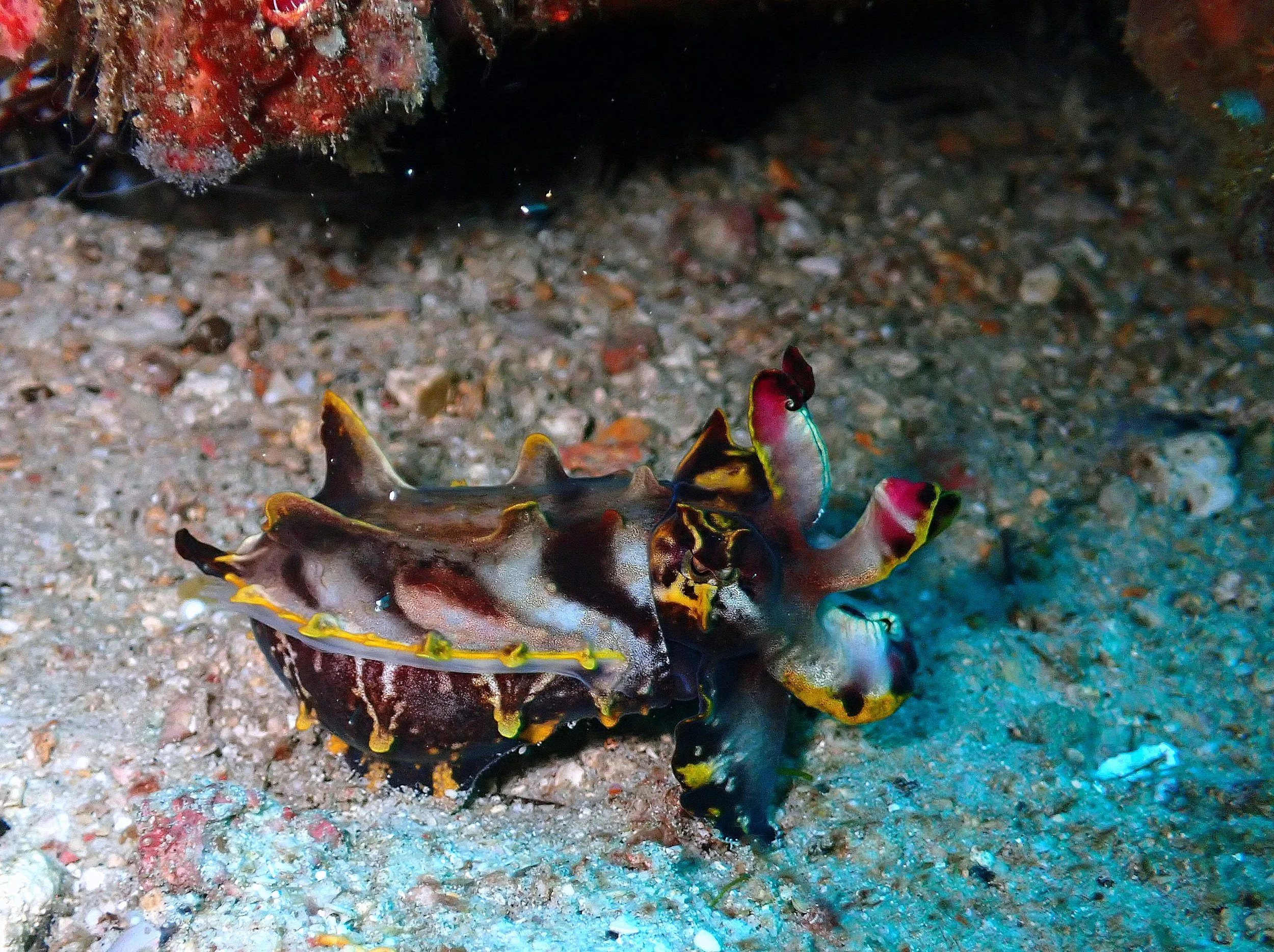 P4150126.JPG