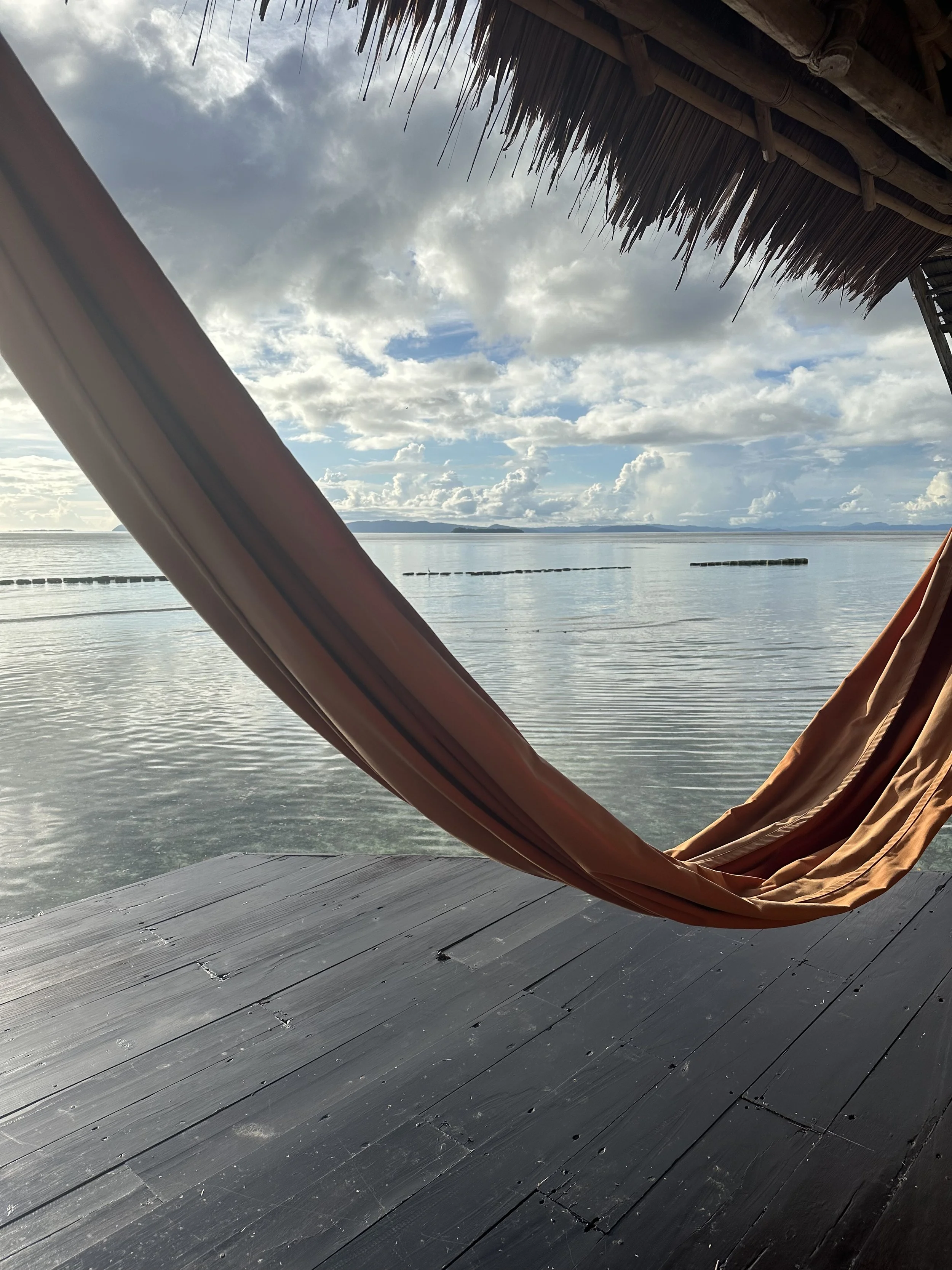 pper trm hammock.jpg