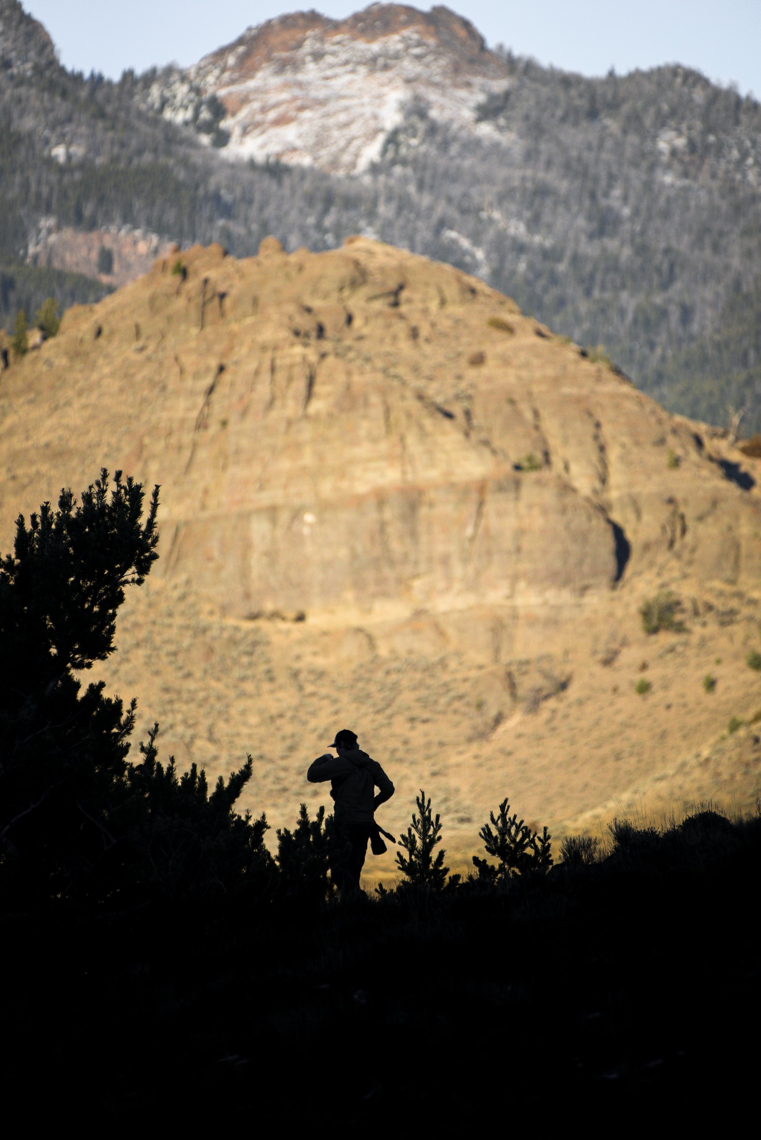DSC_0600.jpg